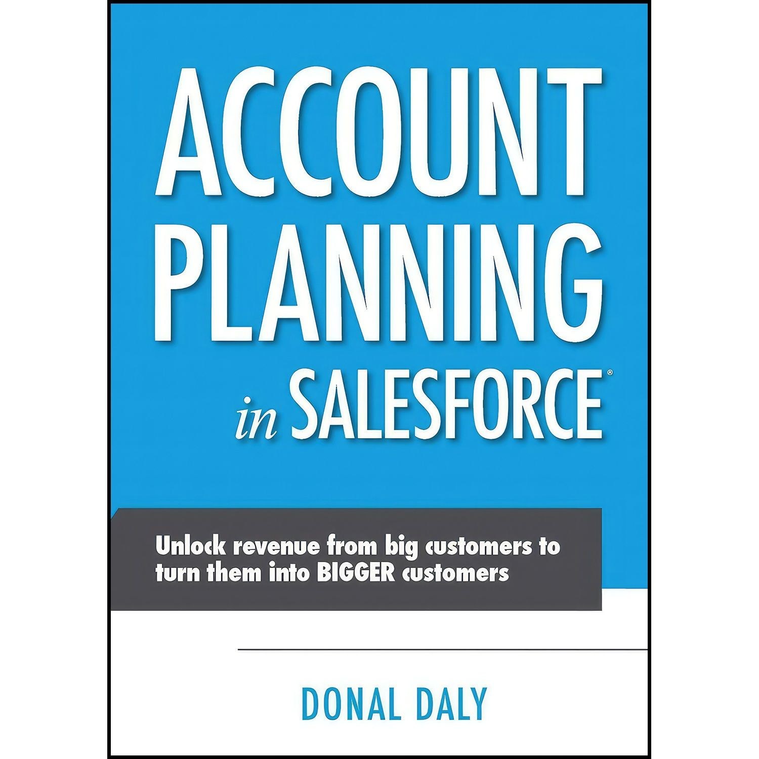 کتاب زبان اصلی Account Planning in Salesforce اثر Donal Daly