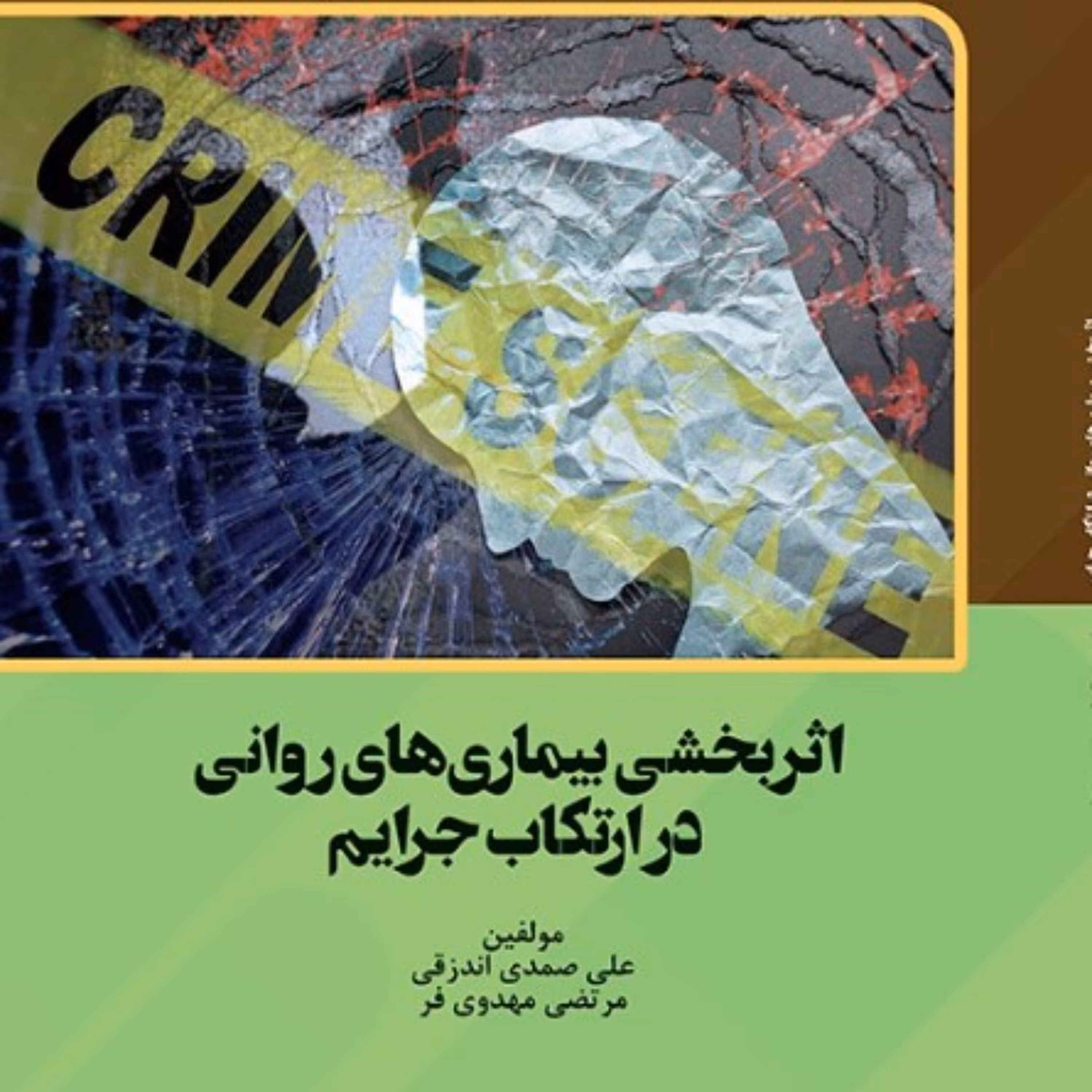 اثربخشی بیماری های روانی در ارتکاب جرایم