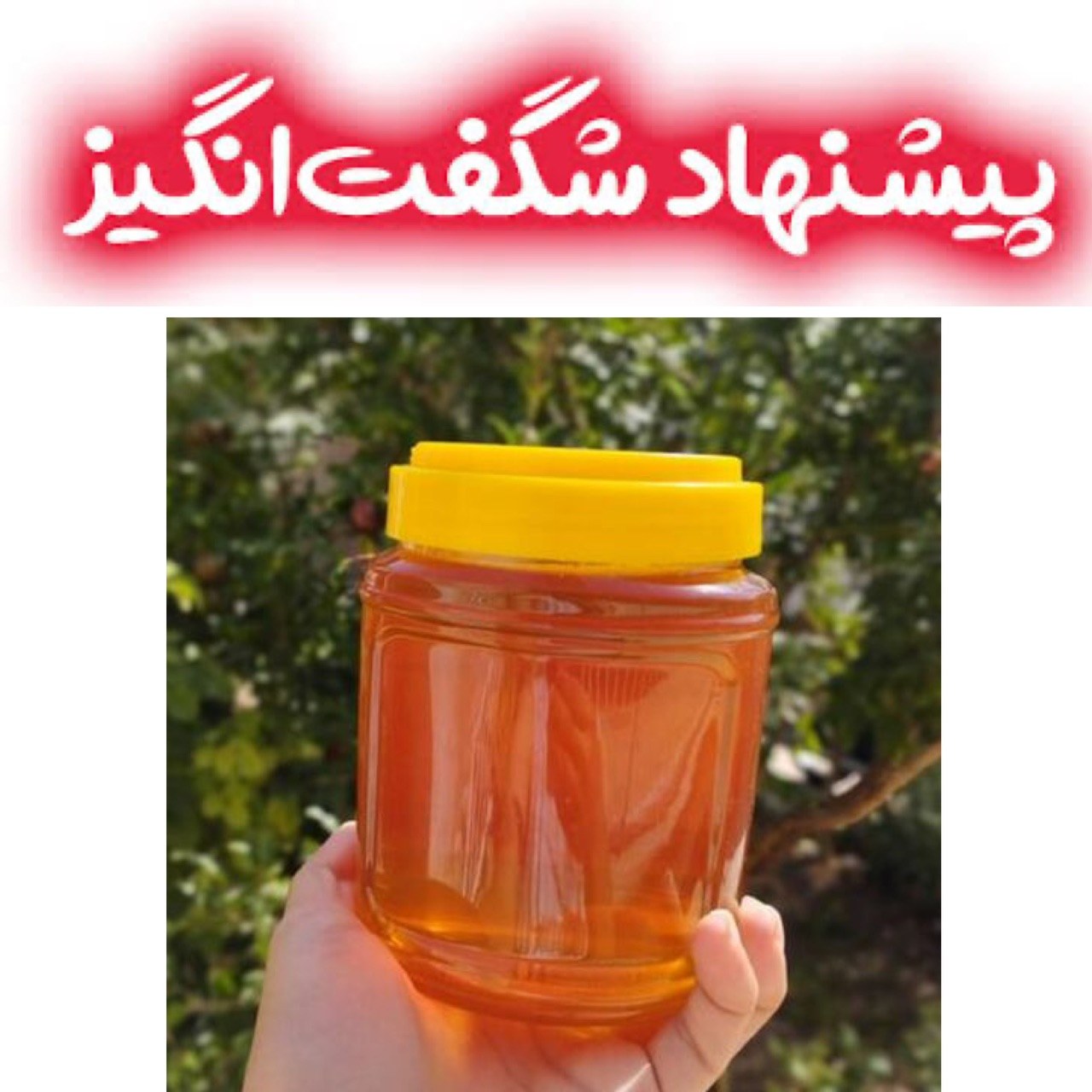 عسل سبلان خرید از زنبوردار (طعم اصیل طبیعت)