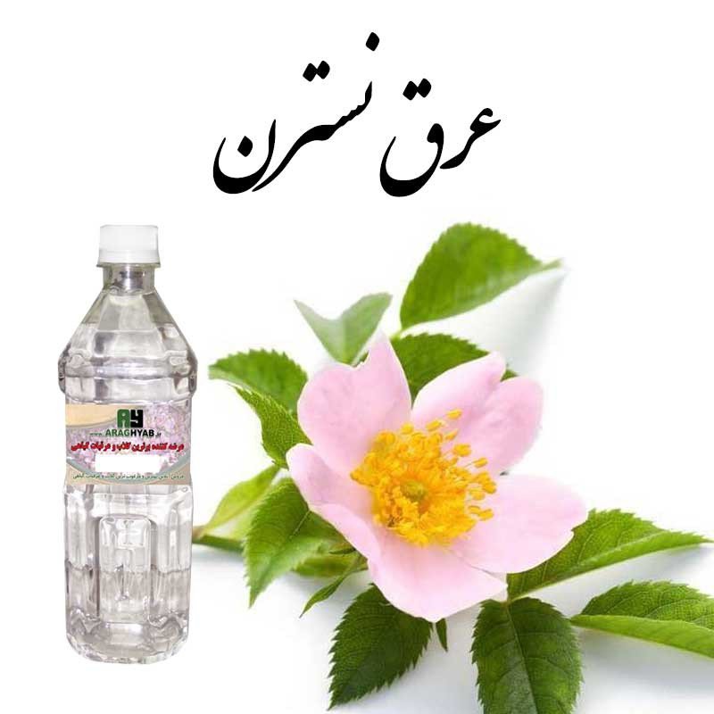 عرق نسترن یک لیتری(تقویت اعصاب، کلیه ، تصفیه خون)