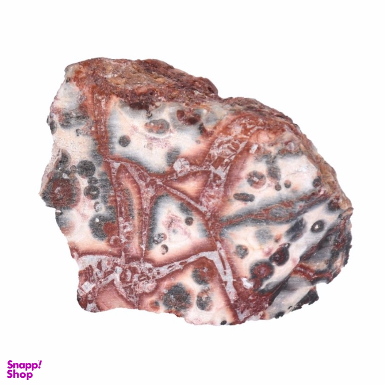 سنگ راف جاسپر اقیانوسی کد 01