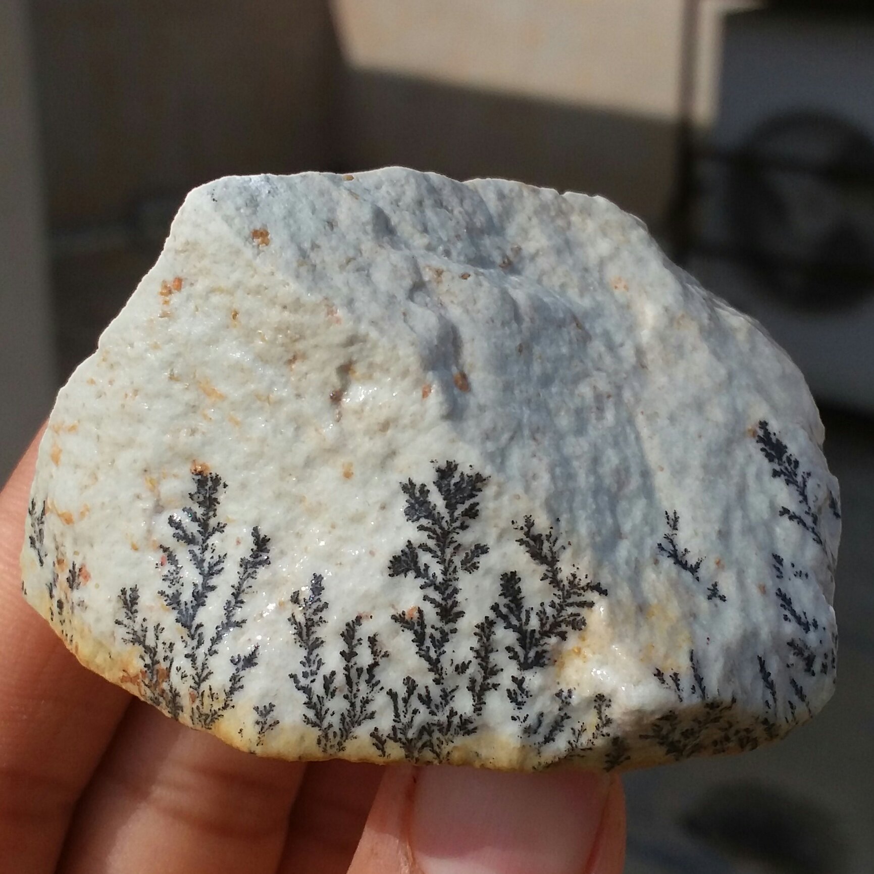 سنگ راف 100 در 100 طبیعی شجر دندریتی یا فسیلی محشر خاص شاهکار خلقت
شجر واضح خاااااااااص
کد 9659