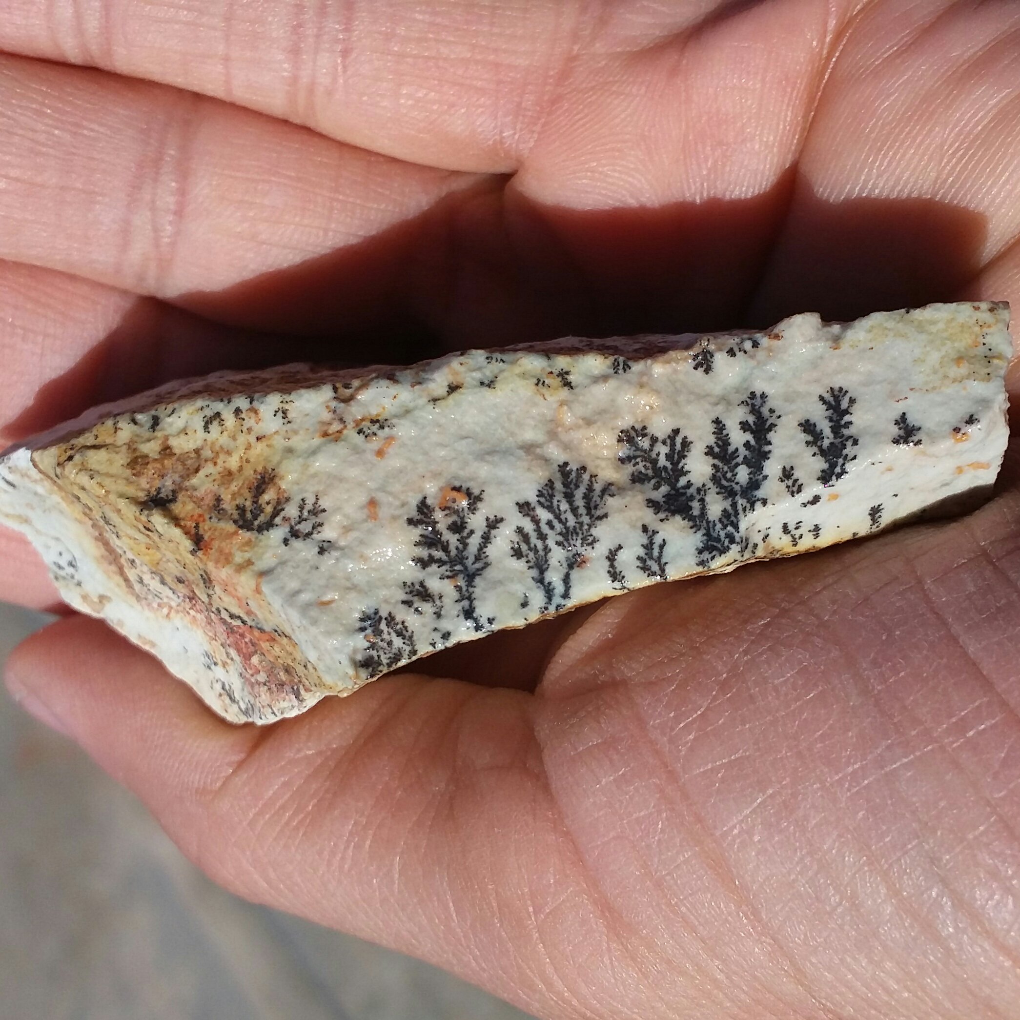 سنگ راف صد در 100 طبیعی شجر دندریتی یا فسیلی محشر رر شاهکار خلقت
شجر واضح خاااا اا اااص
نمونه ای بسیاااار  زیبا
ک