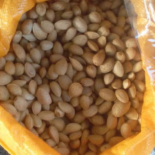 بادام سنگی(8کیلویی)