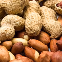 بادام زمینی با پوست اعلا(خام و شور)