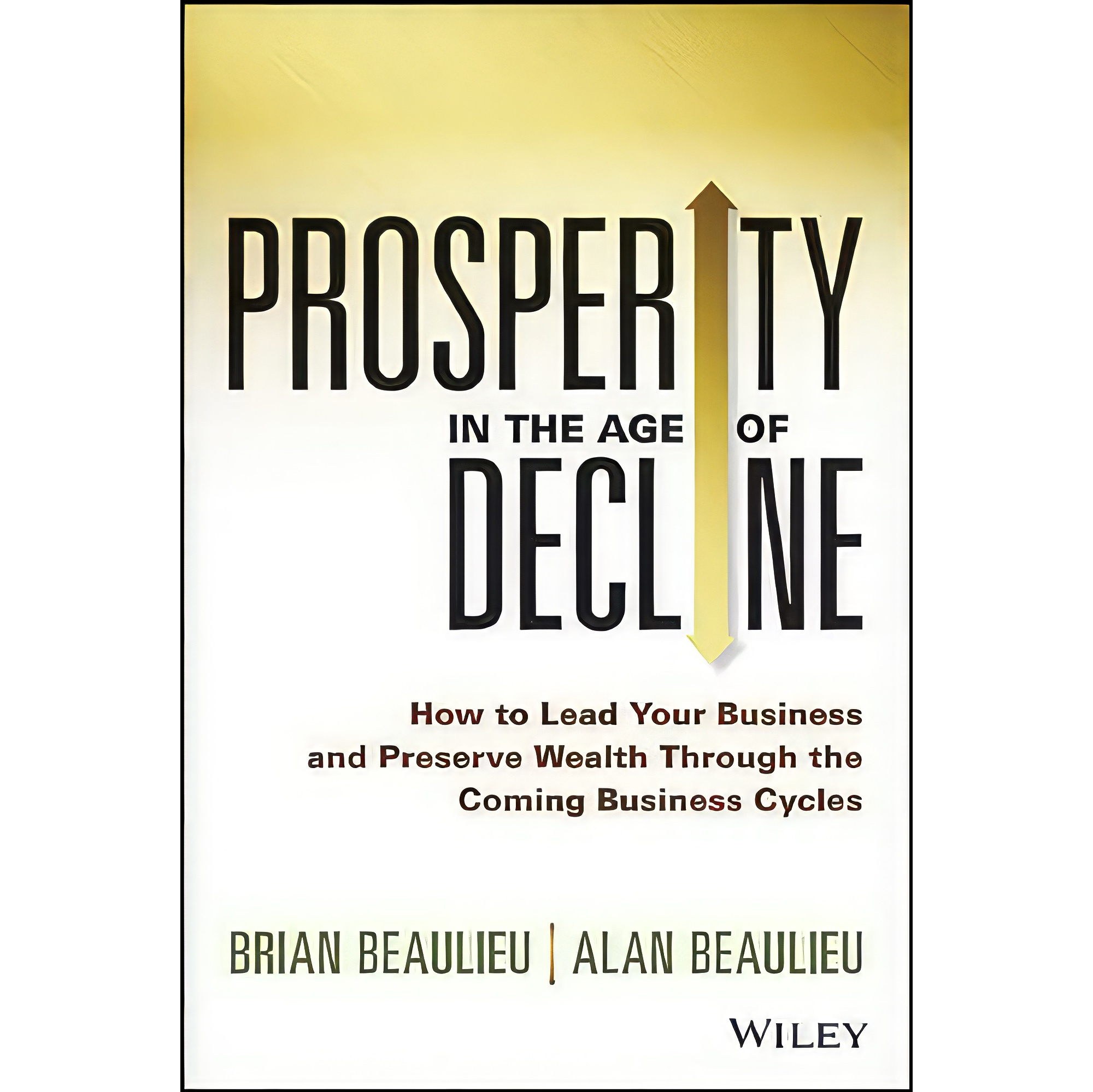 کتاب زبان اصلی Prosperity in The age of Decline انتشارات Wiley