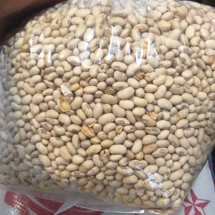 سویا محلی(لوبیای روغنی) آجیلی 2 کیلو ارسال رایگان