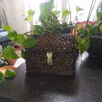 صندوقچه حصیربافی (سریر)