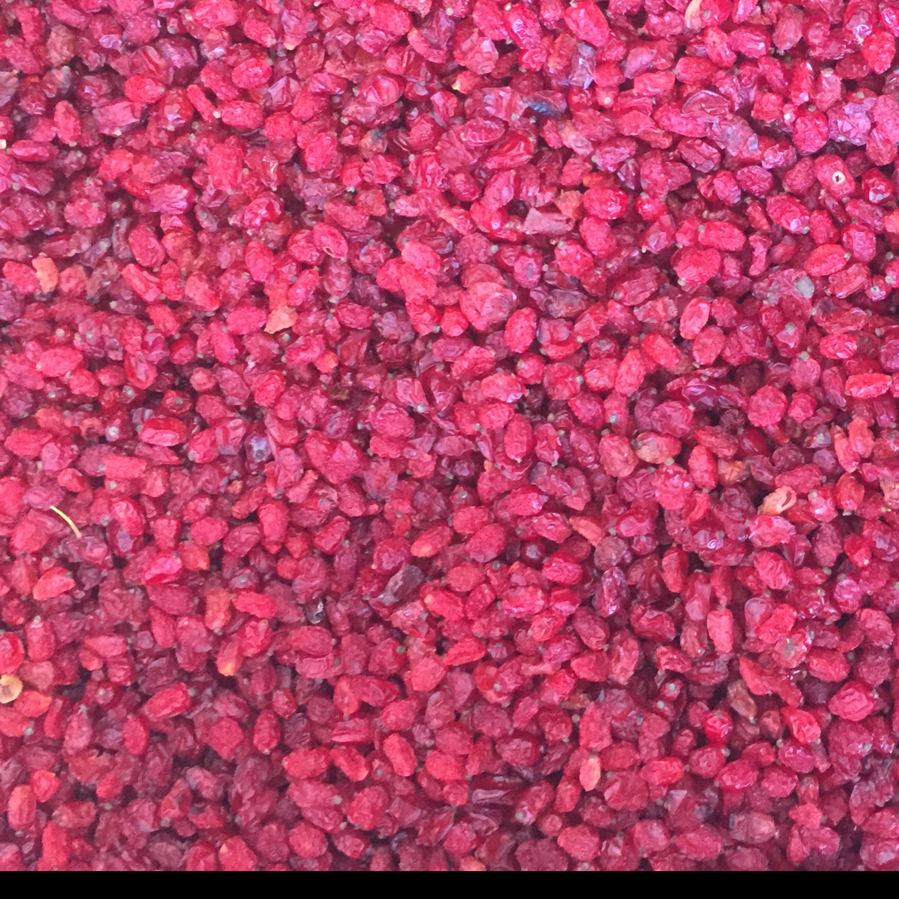 زرشک پفکی امسالی در بسته های نیم و یک کیلویی