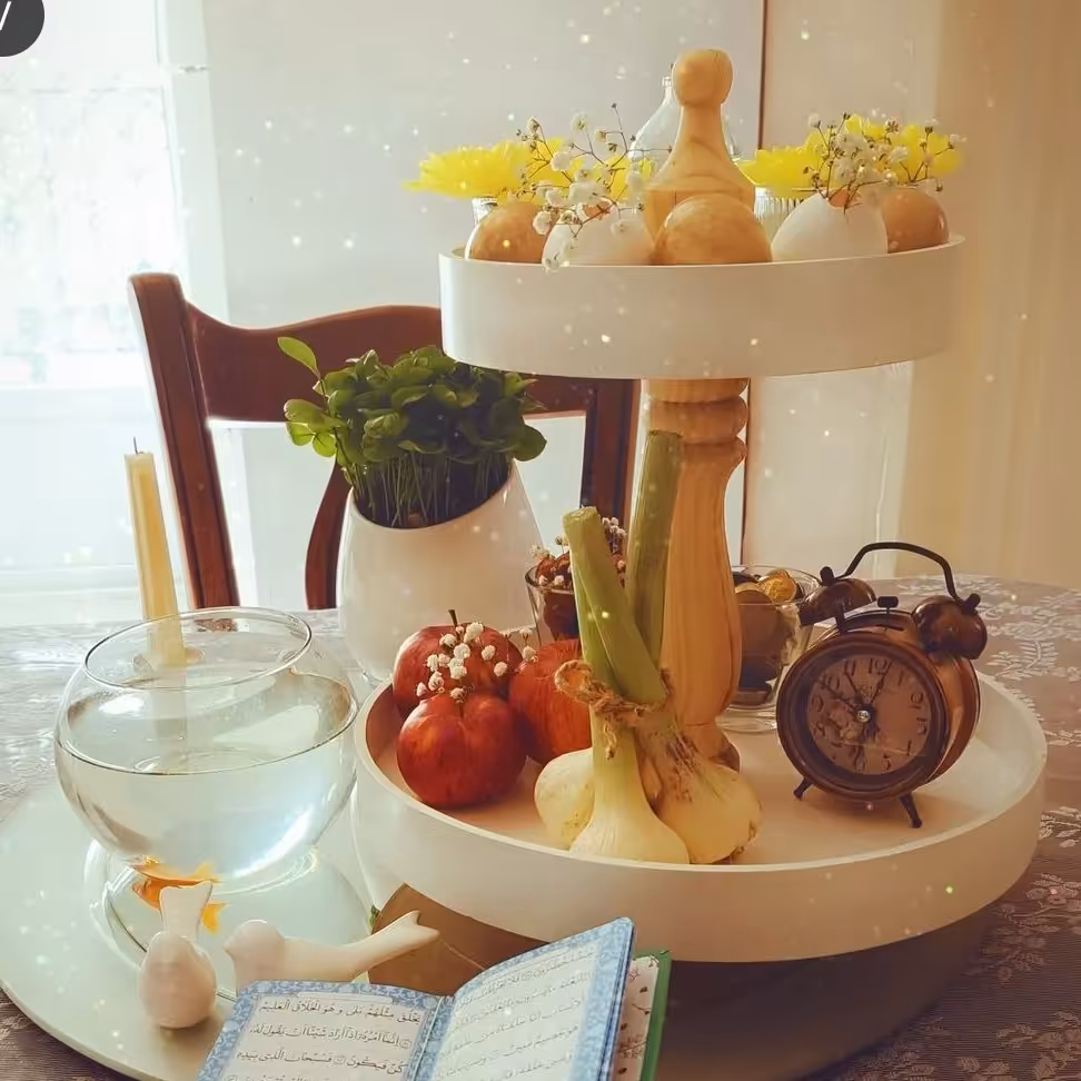 استند دو طبقه 