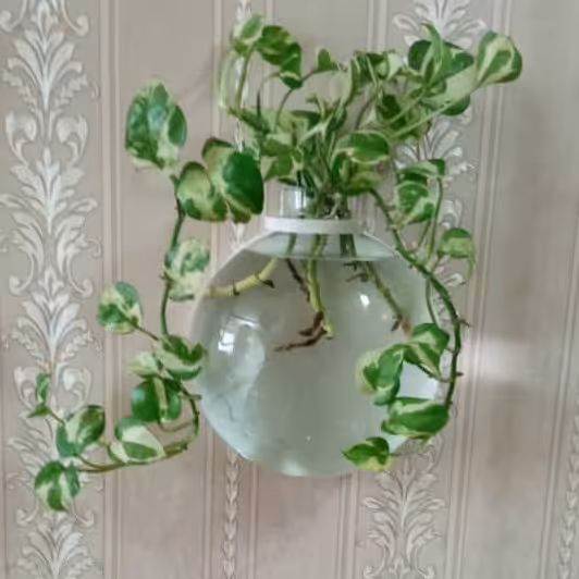 گلدان شیشه ای دیواری گرد