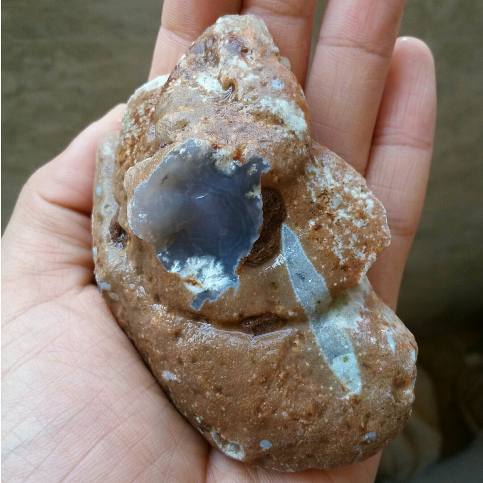 سنگ راف غولپیکر شجر شکوفه محشر 100در100 طبیعی شاهکار خلقت
تابلو نقاشی طبیعی
با قابلیت ساخت چند نگین فوق قیمتی و ارزشمند