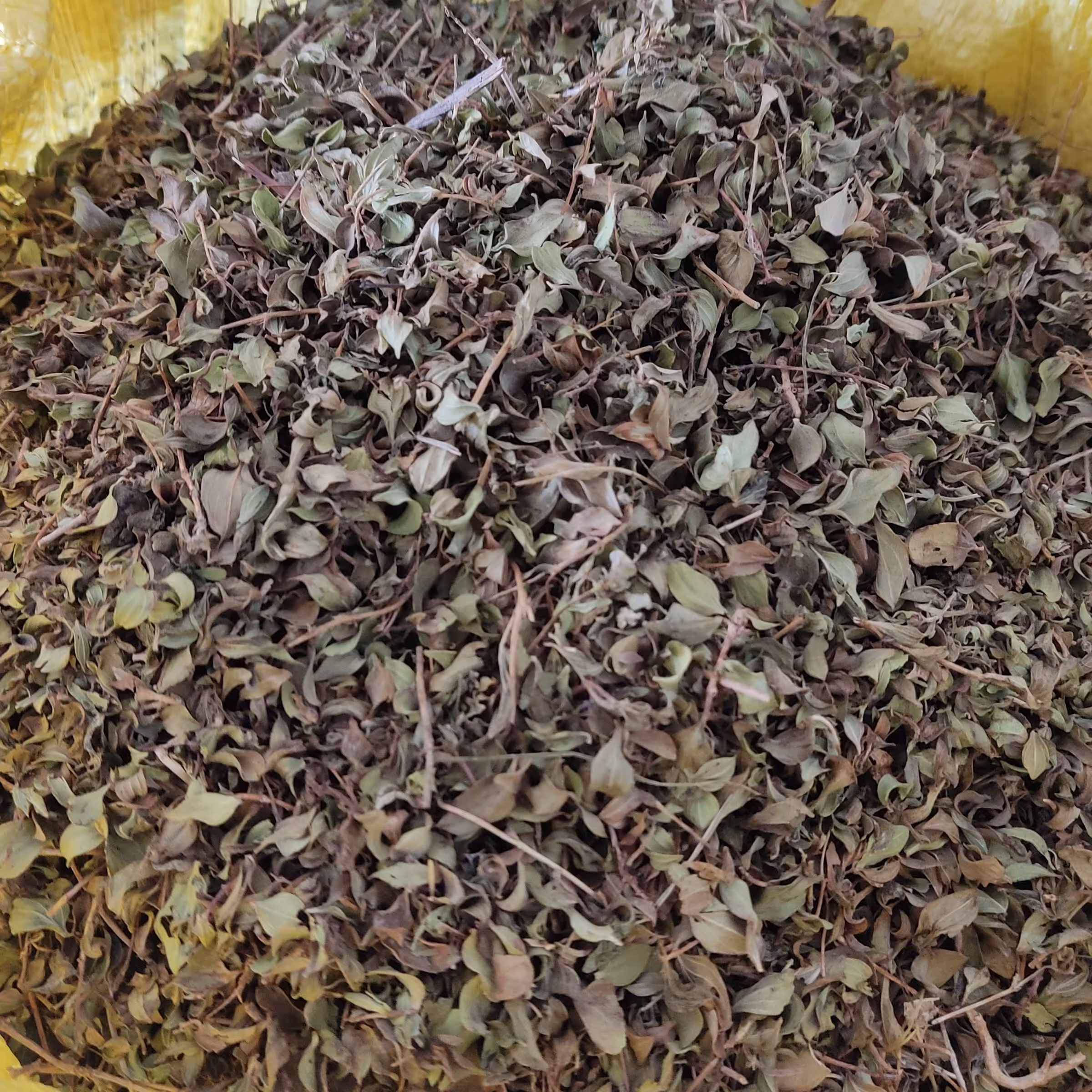 آویشن  (برگ)