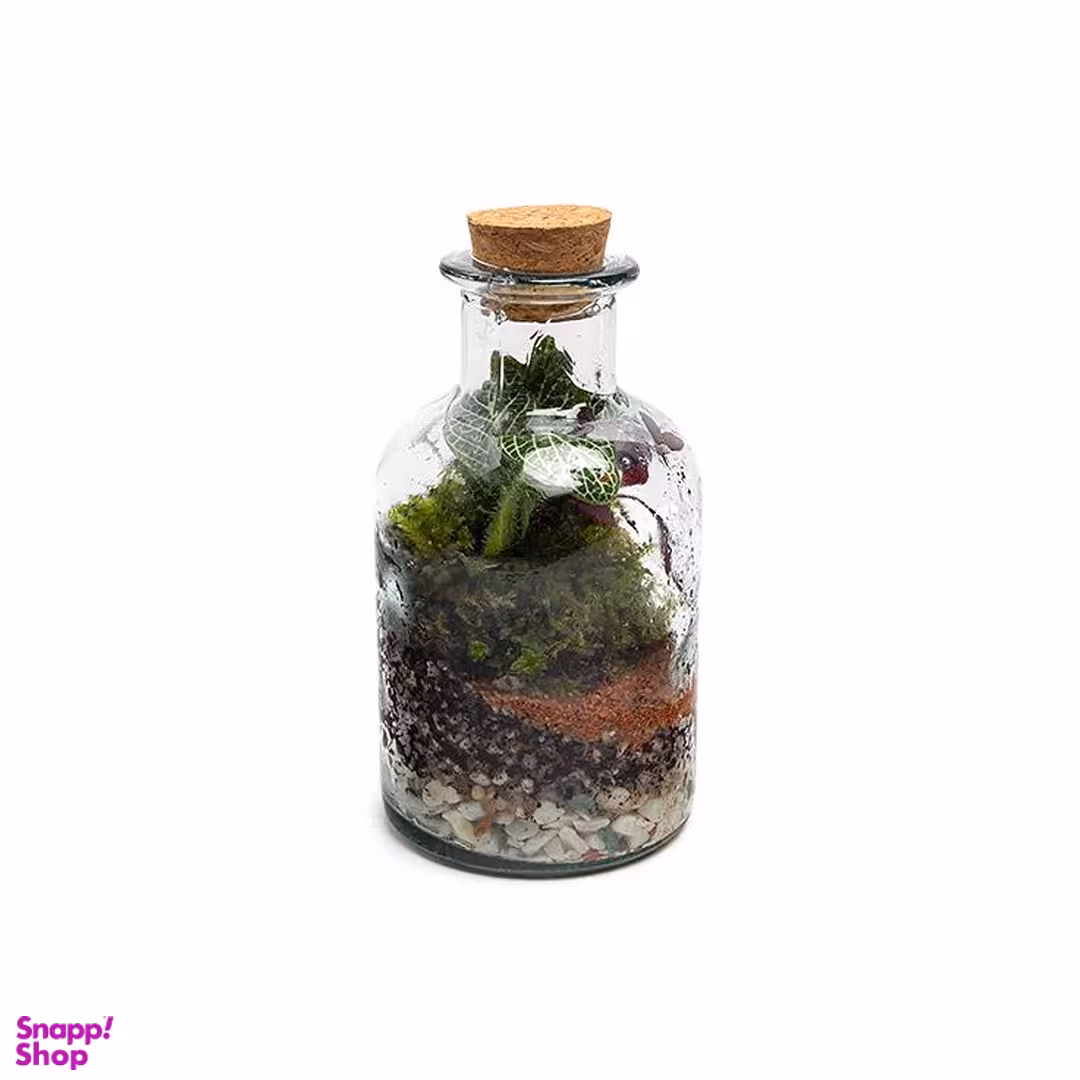 تراریوم شیشه ای مدل بطری