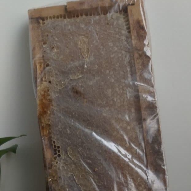 عسل شانه (موم دار). عالی و درجه یک