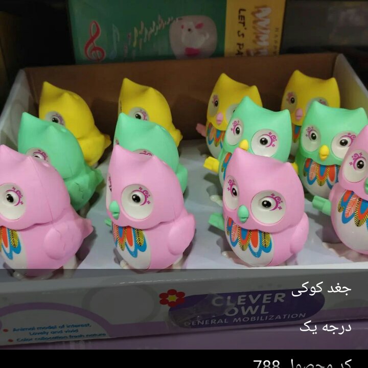 جغد کوکی