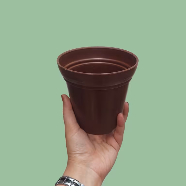 گلدان تایلندی قهره ای (پس کرایه)