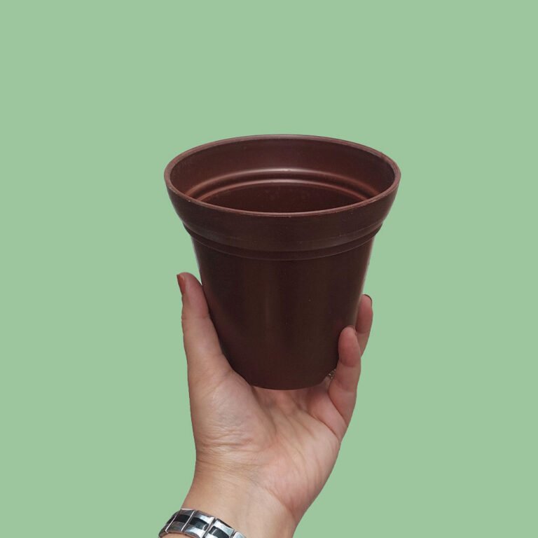 گلدان تایلندی قهره ای (پس کرایه)