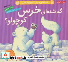خرید کتاب گم شده ای خرس کوچولو از قصه های خرس کوچولوی قطبی | ایده بوک