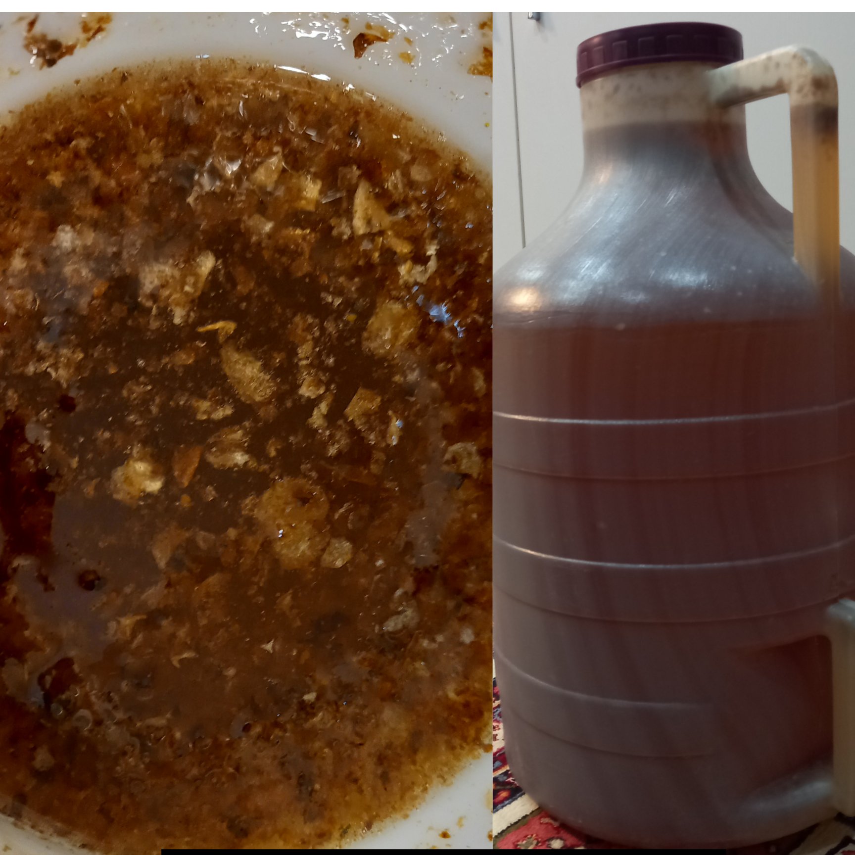 عسل چهل گیاه منطقه رابر (گارچی)