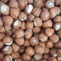 فندق بدون پوست خام 