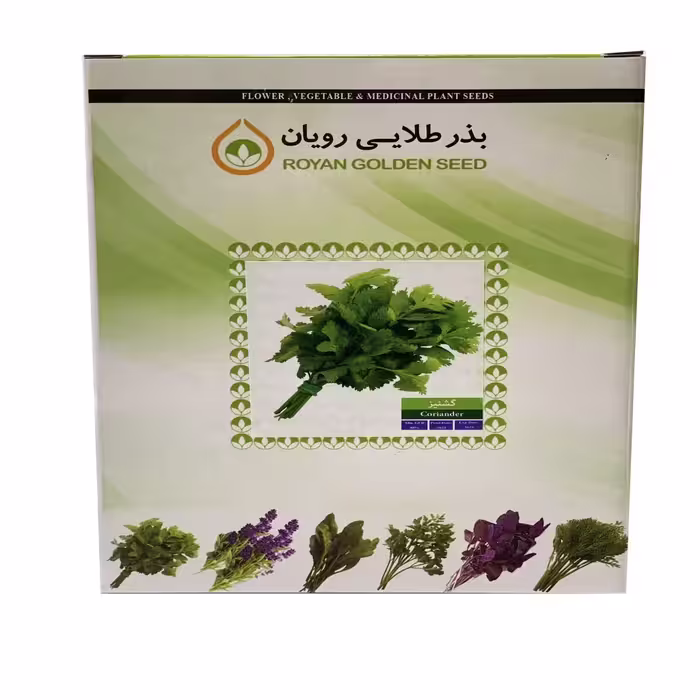 بذر گشنیز نیم کیلویی - بذر طلایی رویان
