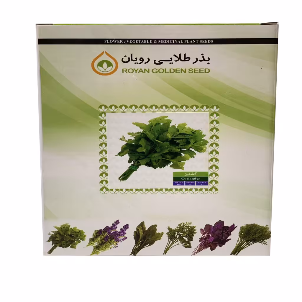 بذر گشنیز نیم کیلویی - بذر طلایی رویان