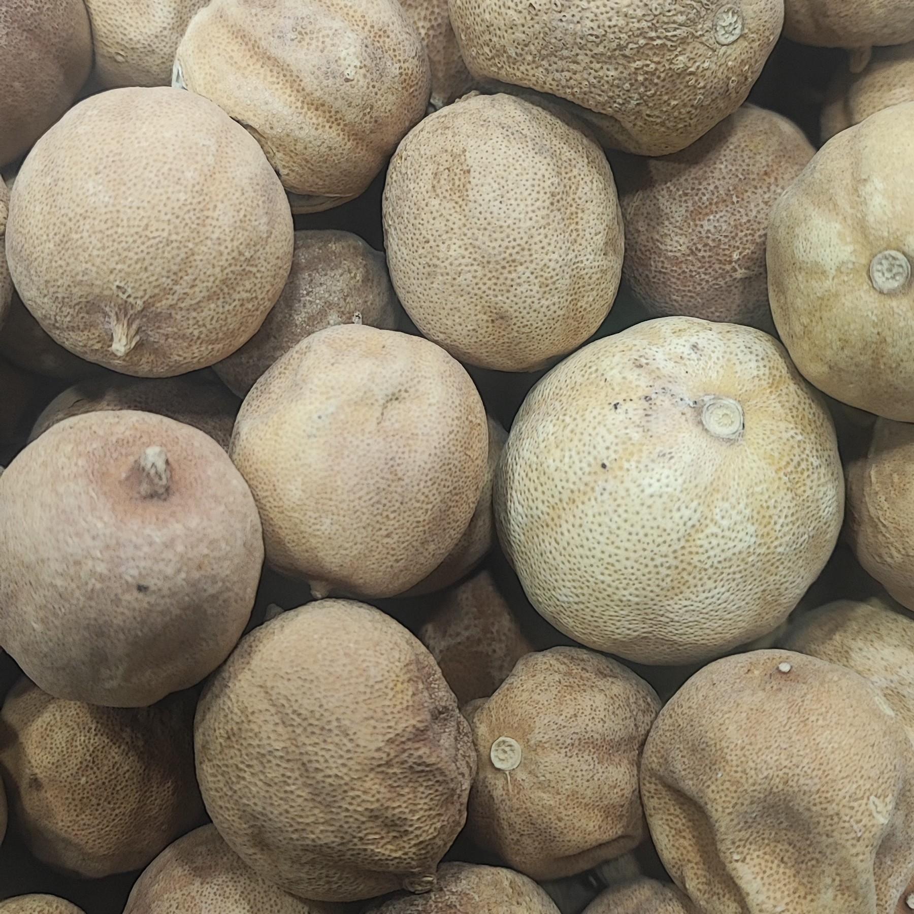 لیمو عمانی درجه یک 250 گرم