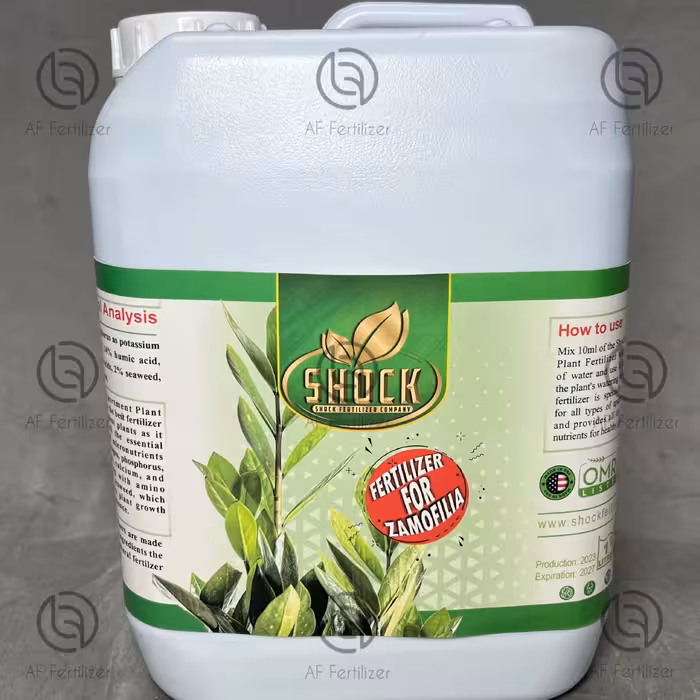 کود مخصوص زاموفیلیا پنج لیتری شوک