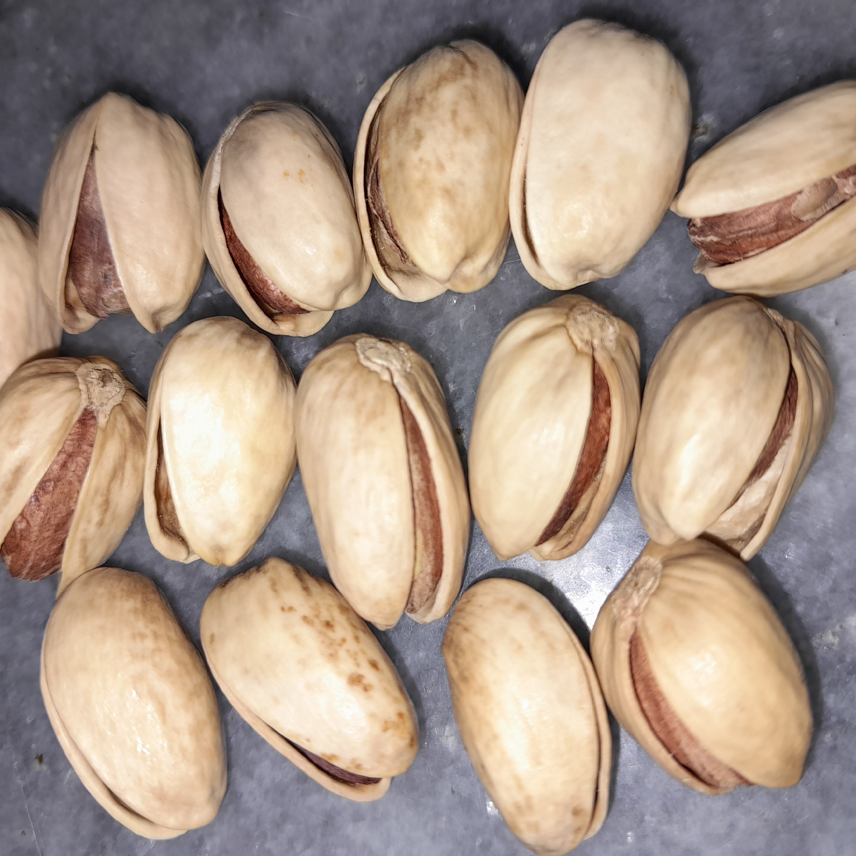 پسته کله قوچی(ارسال رایگان)