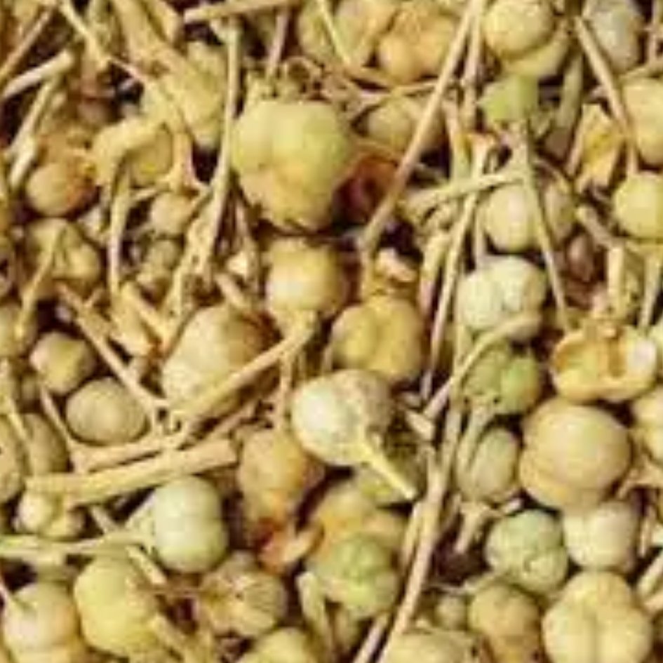 اسفند نخودچی 500 گرم