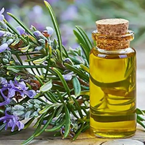 روغن رزماری نیم لیتری