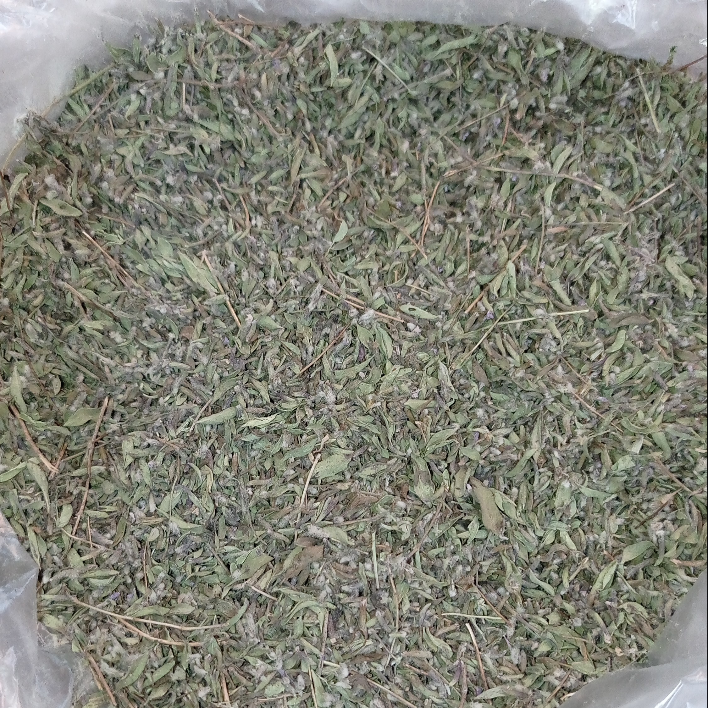 آویشن  برگ کوهی  معطر     درجه یک   وزن 100 گرم   