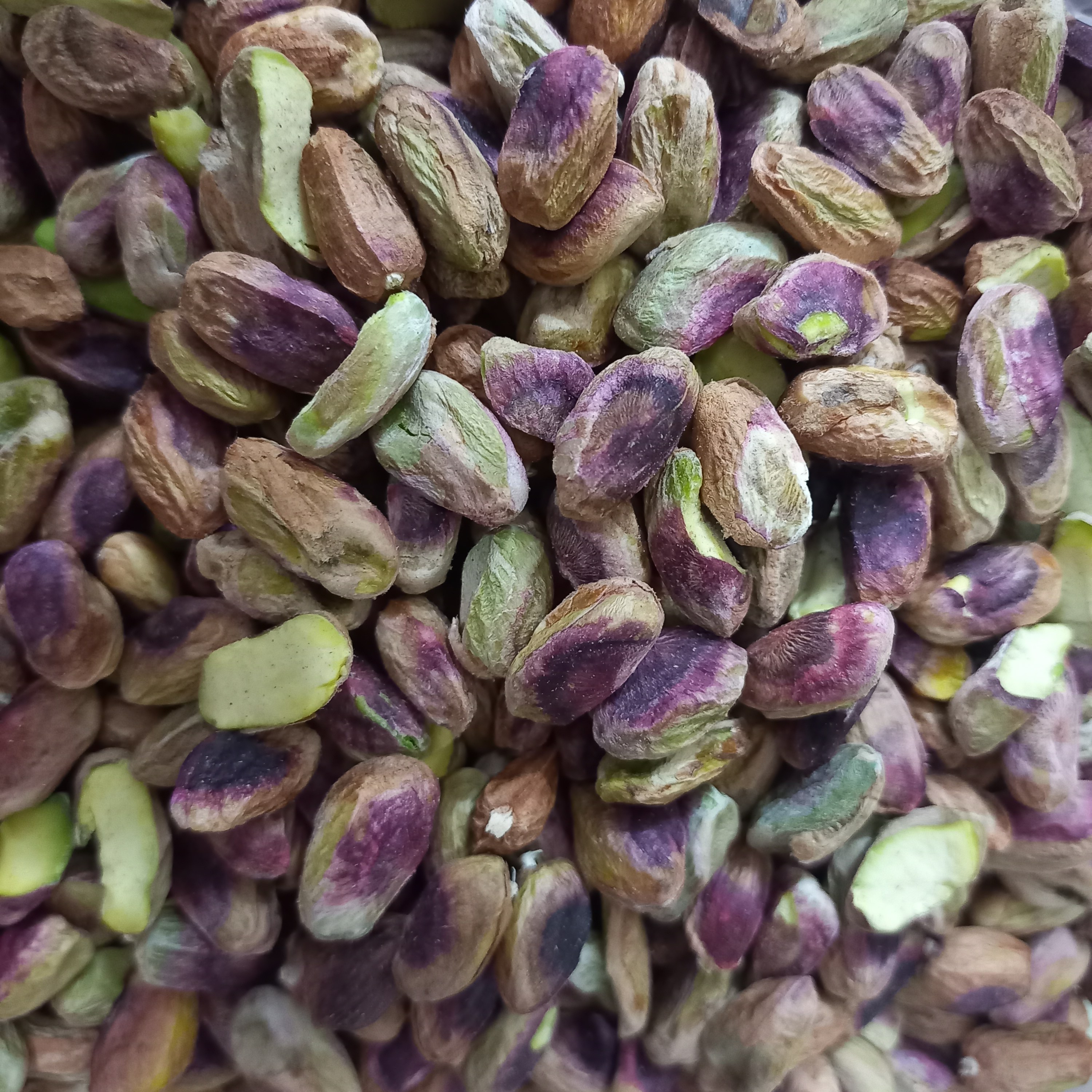 مغز پسته امسالی