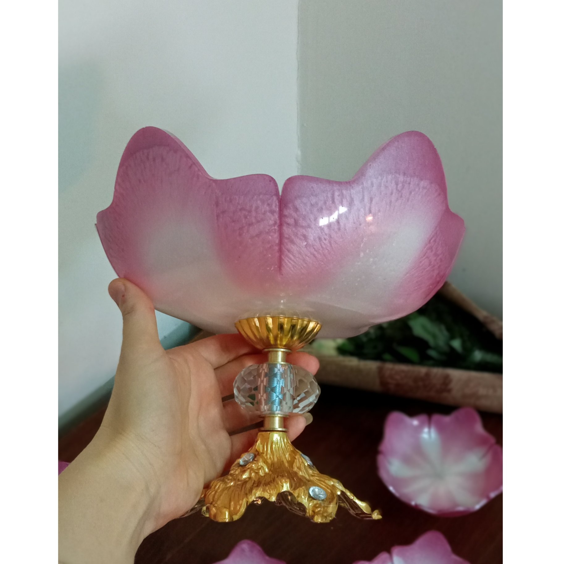 سرویس آجیل خوری