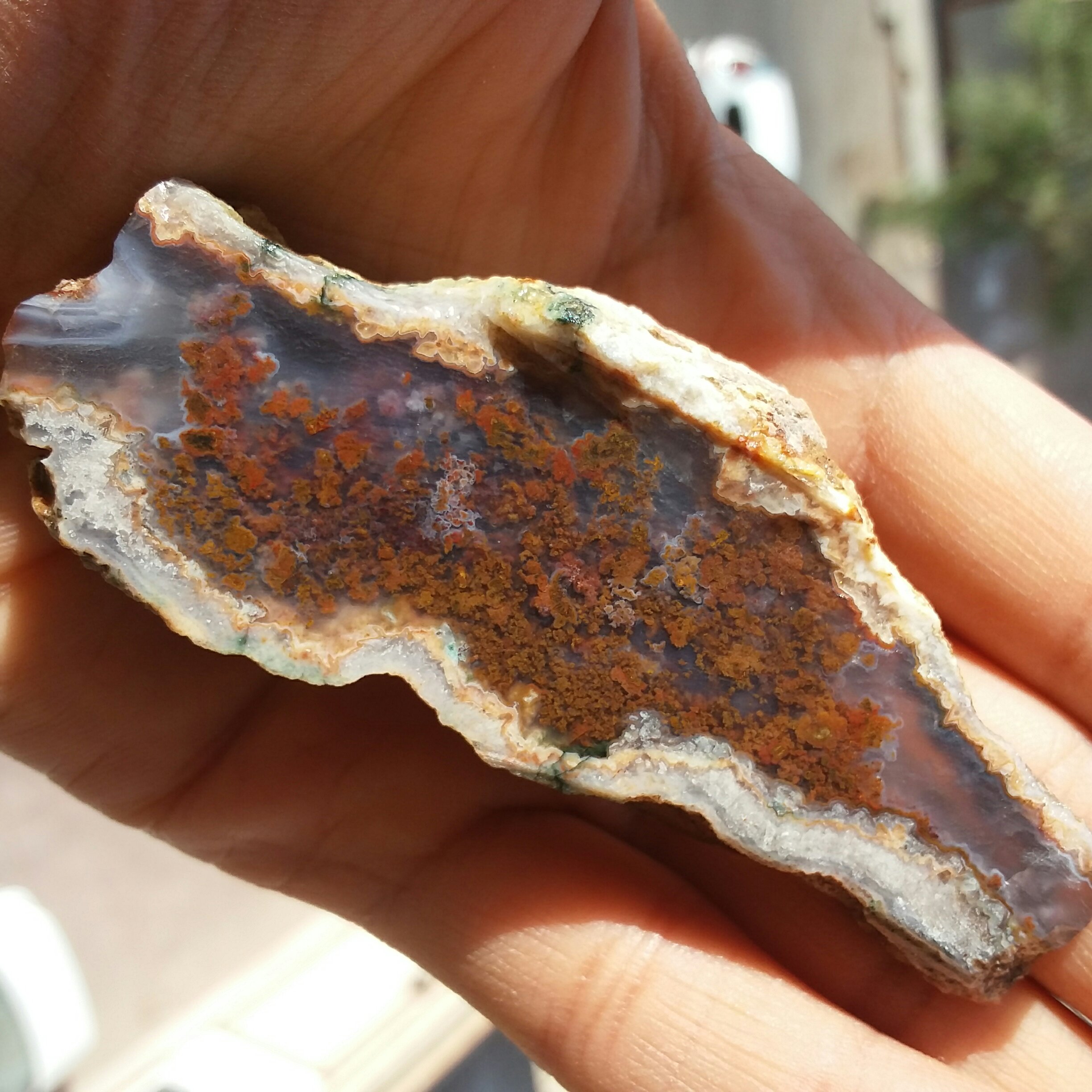 اسلایس سنگ راف شجر دریایی 7رنگ زمینه سوسنی پر رنگ بی نظیر شاهکار خلقت 100 در 100 طبیعی خارق العاده
تابلو نقاشی طبیعی 