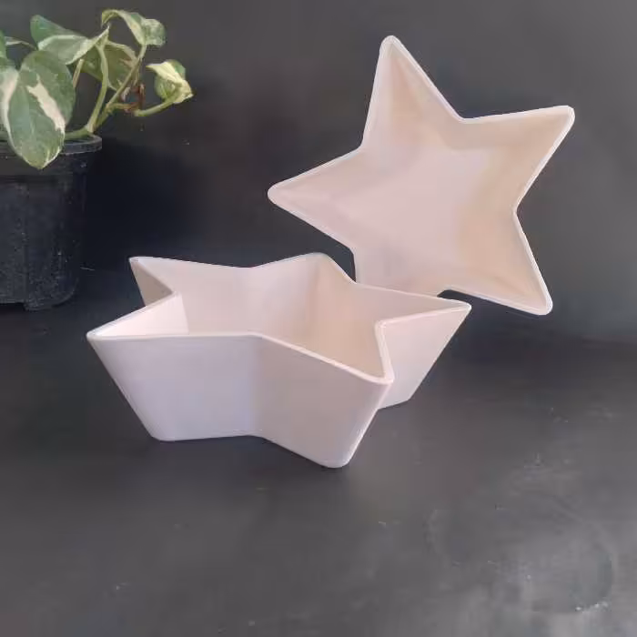 بدنه بیسکویتی سرامیک  .بدنه سرامیک . سفال سرامیک