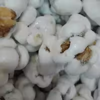 نقل بیدمشک گردویی فاقد گلوتن با بسته بندی نیم کیلویی سادات