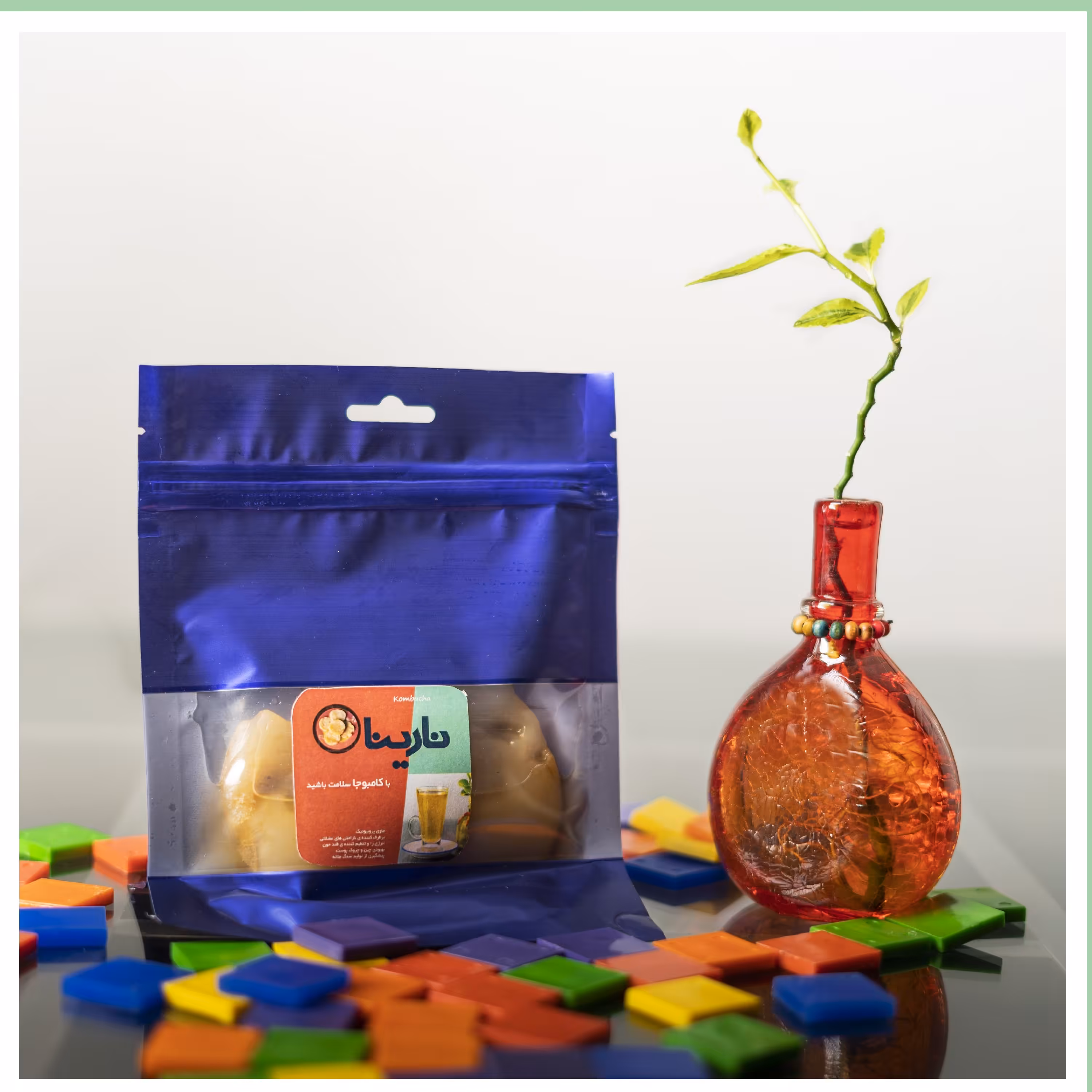 قارچ کامبوجا جهت تولید نوشیدنی کامبوجا