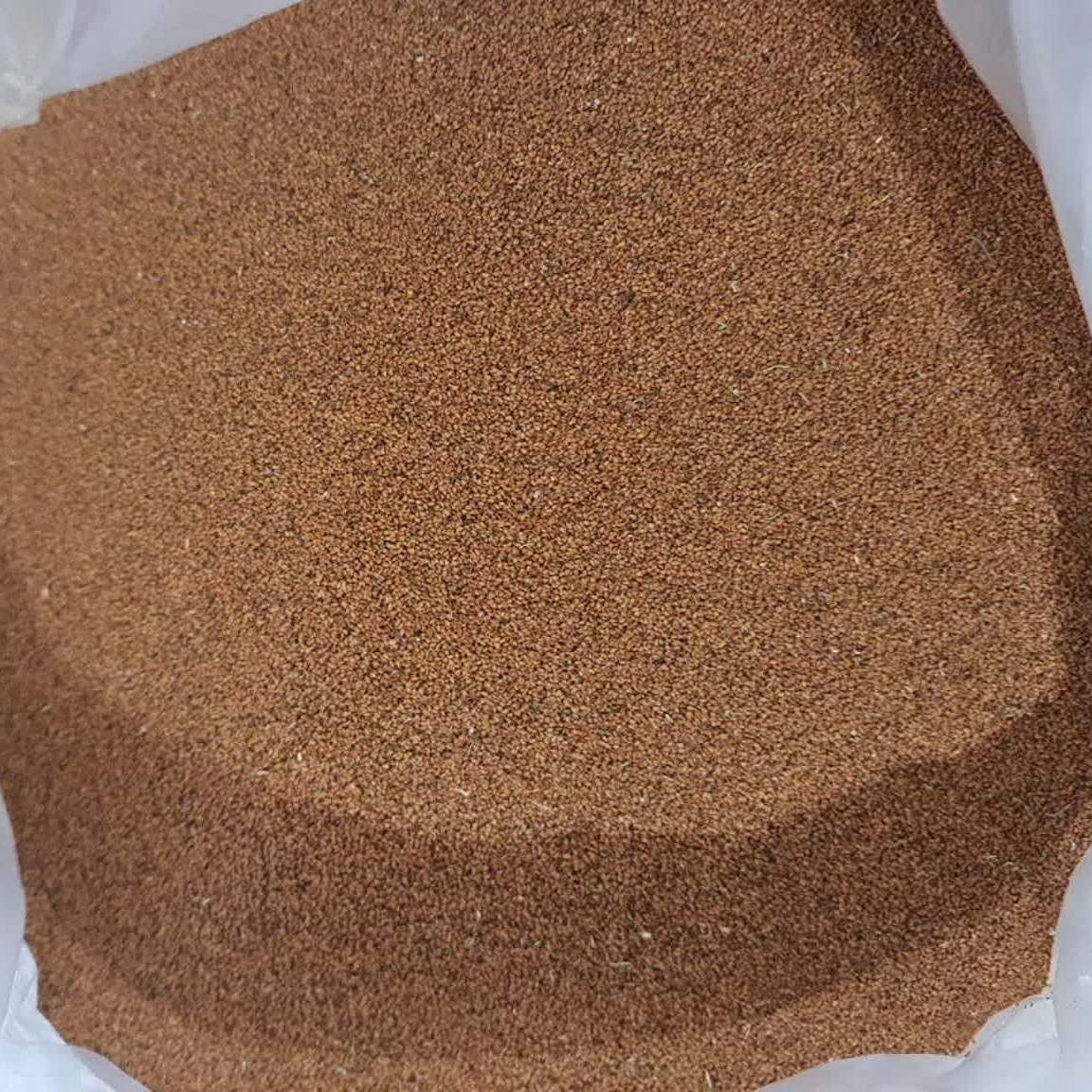 خاکشیر اعلا ( 1 کیلوگرمی ) فروشگاه بدیسا 