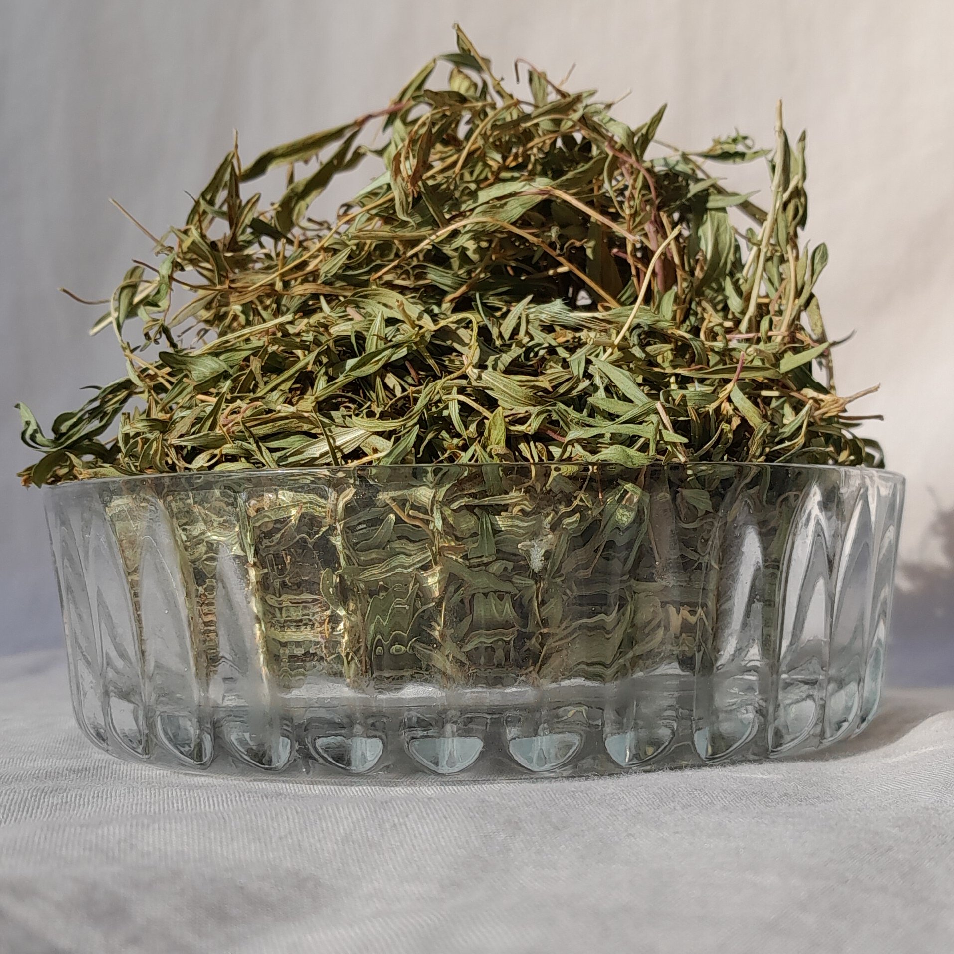 آویشن خشک  وحشی قالی کوه. بسته 100 گرمی