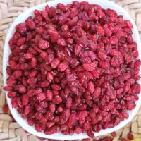 زرشک پفکی درجه یک 500 گرمی خراسان(مستقیم از کشاورز)