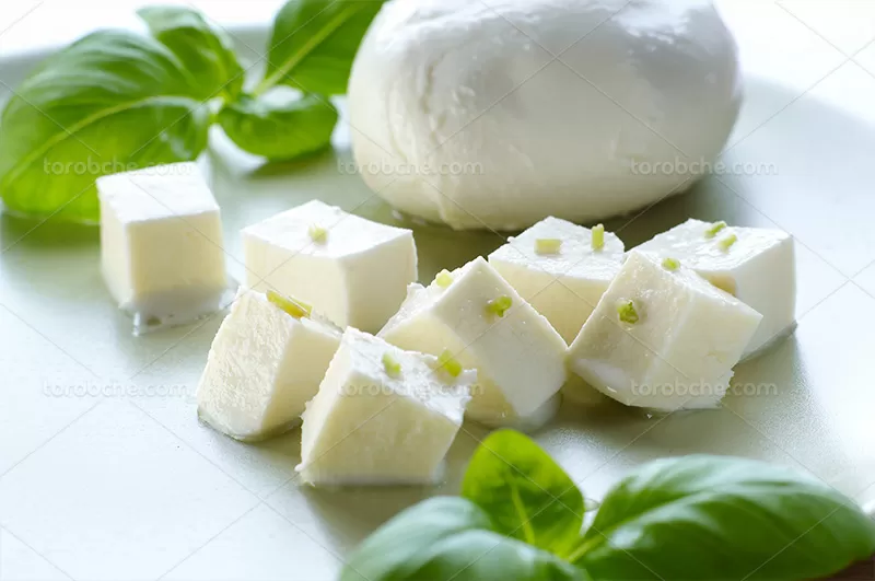 عکس تکه های پنیر موزارلا | گرافیک با طعم تربچه