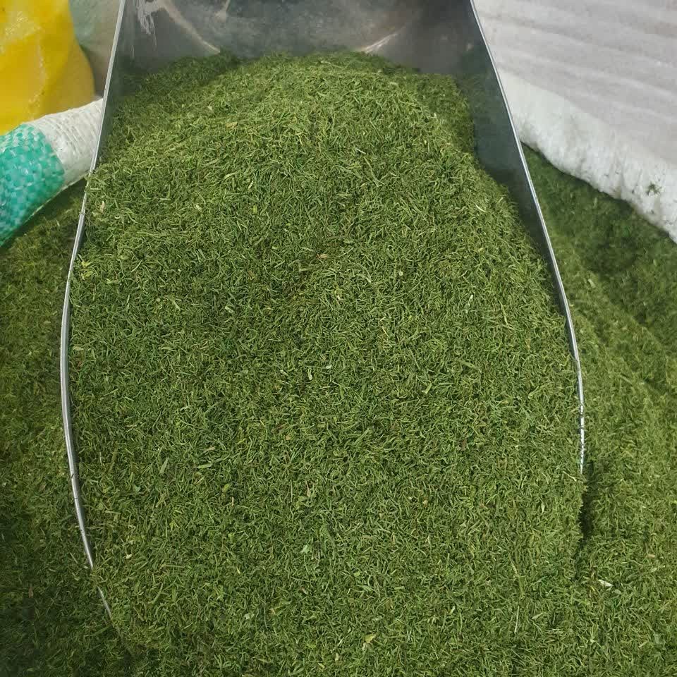 برگ شوید خشک اعلاء100 گرم