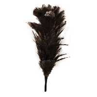 گردگیر پر شتر مرغ مدل JP 025