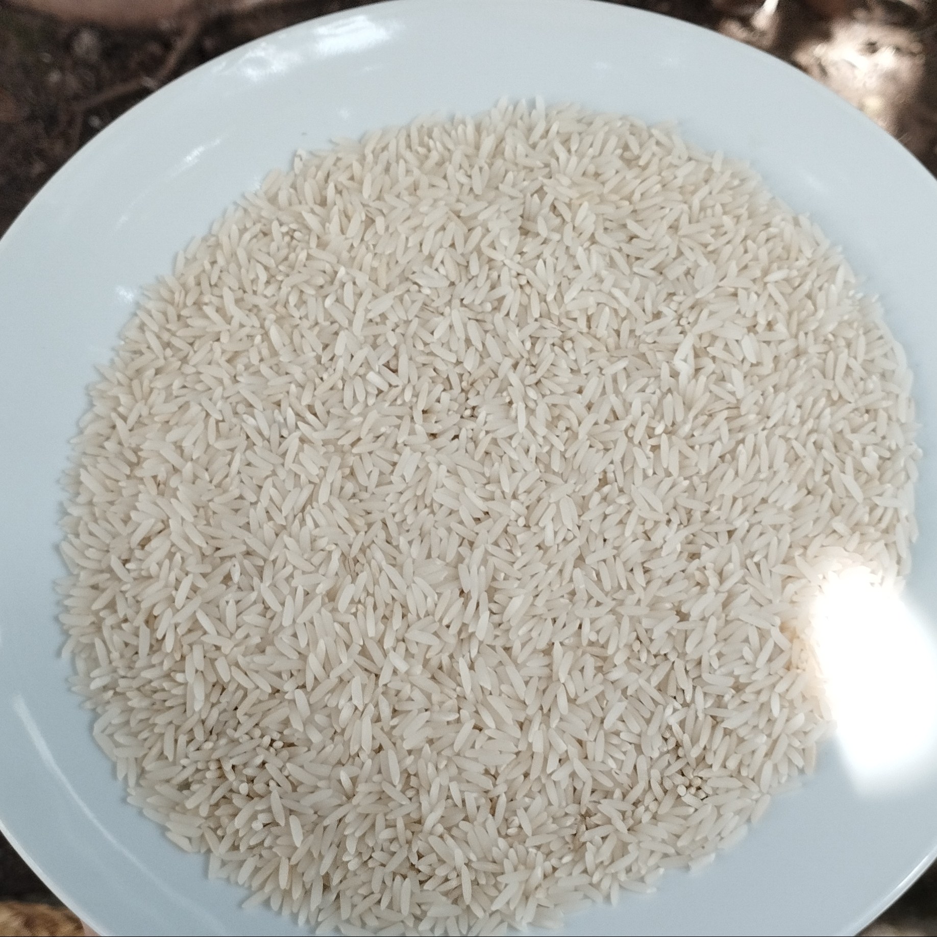 برنج هاشمی معطر آستانه درجه یک 