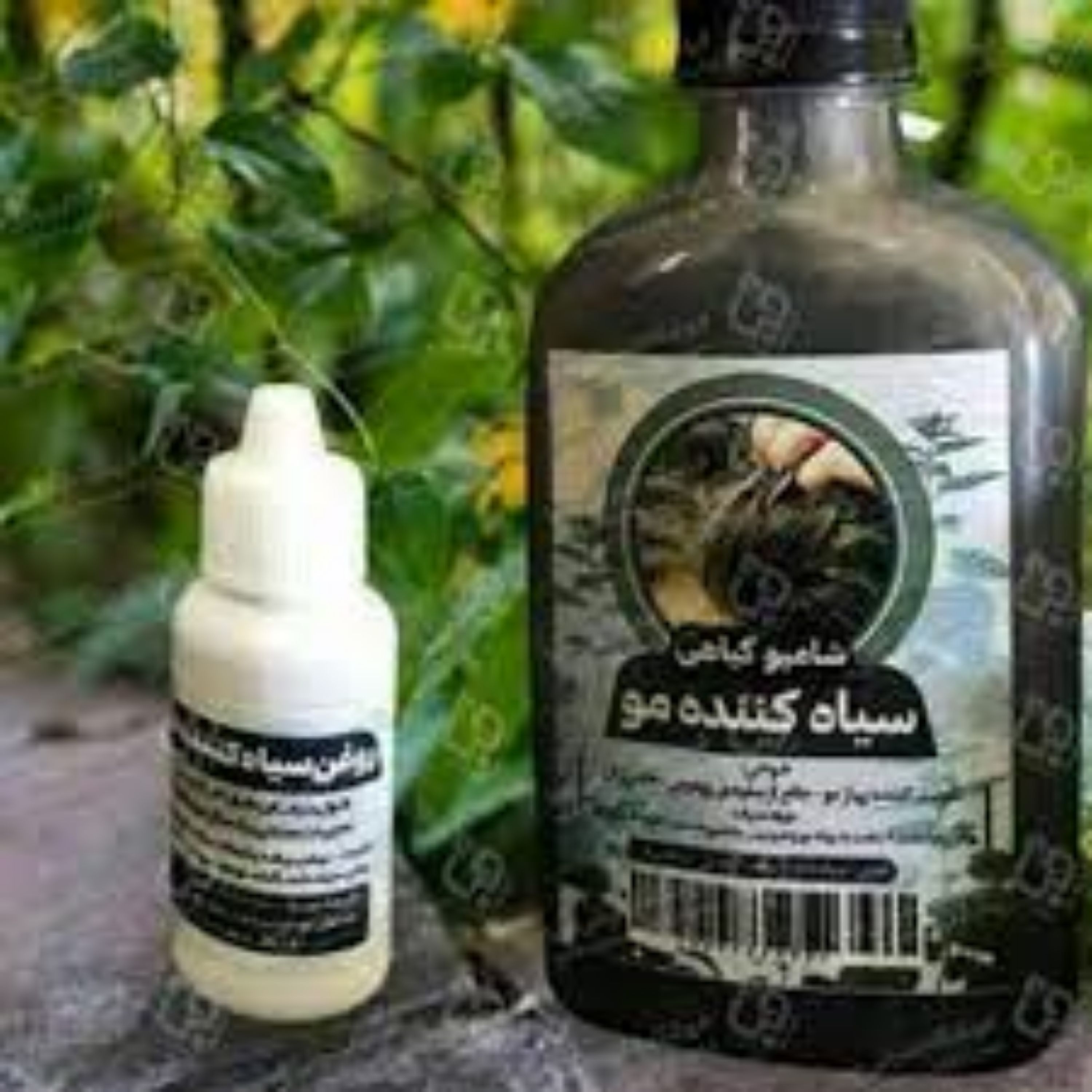 شامپو رفع سفیدی مو 2 قوطی با محلول