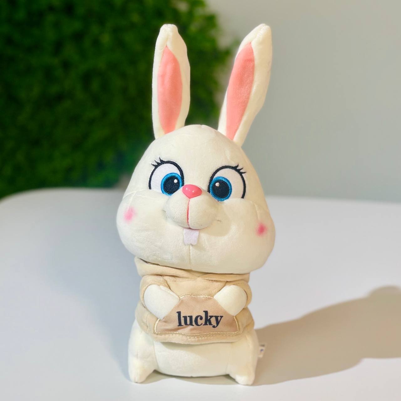 عروسک خرگوش اسنوبال🐇

 ،لطفا قبل از خرید پیام بدیدوموجودی کاررو بپرسید


25 سانت