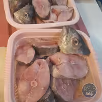 شاه ماهی اعلا ( پک 10 کیلویی )