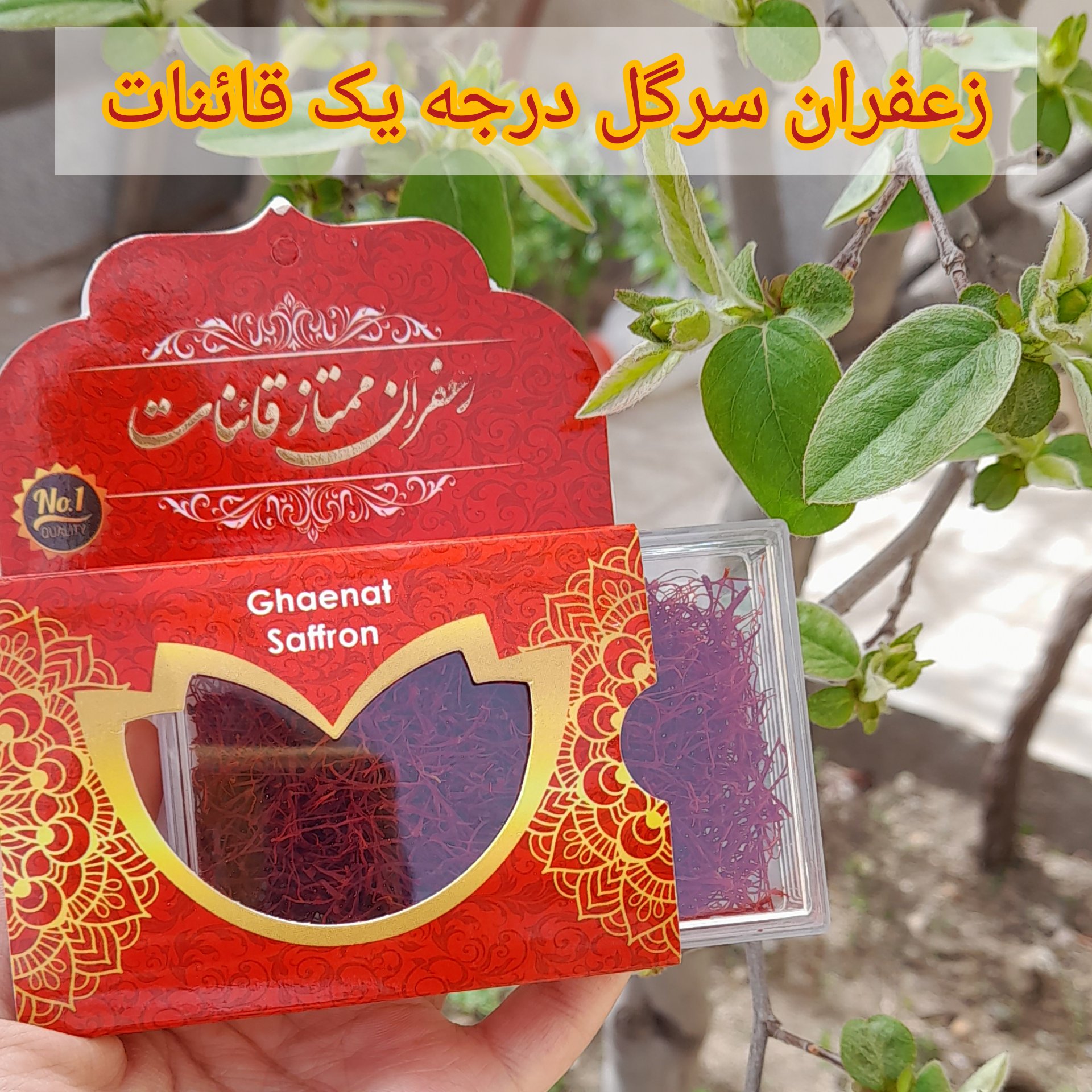 سرگل ممتاز قائنات یک مثقال کامل با بسته بندی متفاوت  عالی و درجه یک